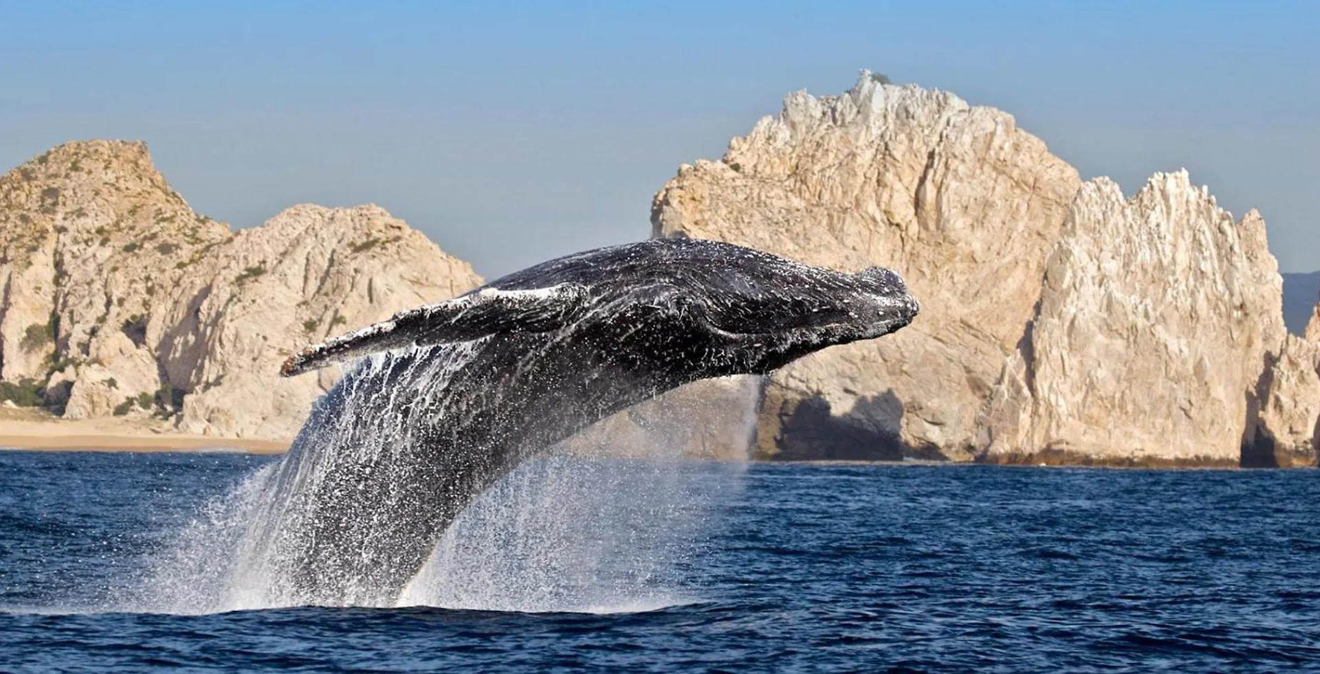 Harbour Junior Suite Cabo San Lucas Lejlighedshotel