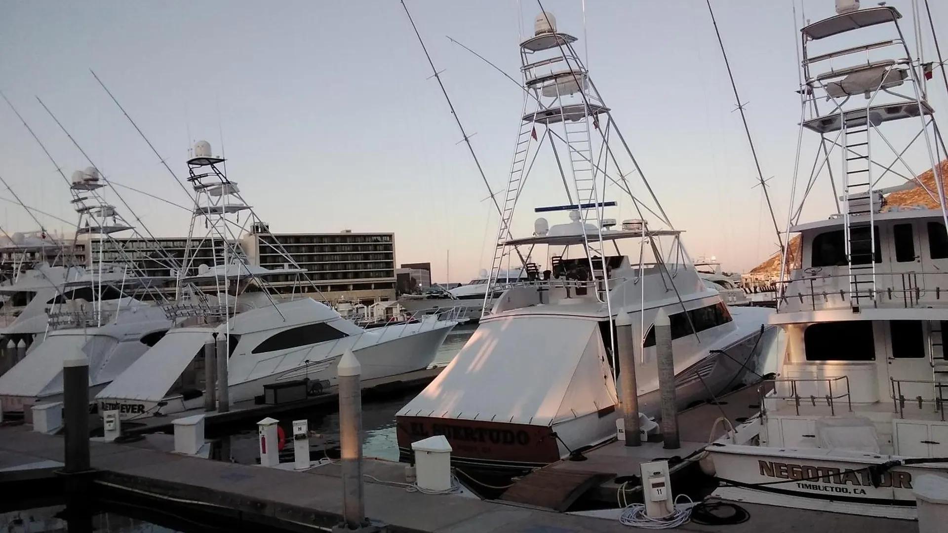 Lejlighedshotel Harbour Junior Suite Cabo San Lucas