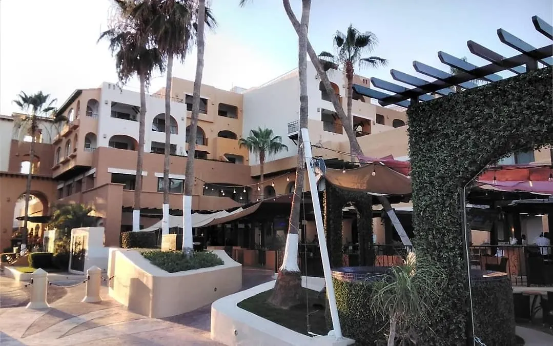 Lejlighedshotel Harbour Junior Suite Cabo San Lucas