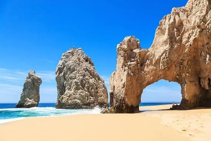 Lejlighedshotel Harbour Junior Suite Cabo San Lucas
